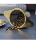 P & T Infuser ( Gold )